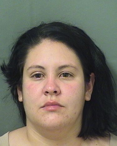  YANSEL M GONZALEZ Results from Palm Beach County Florida for  YANSEL M GONZALEZ