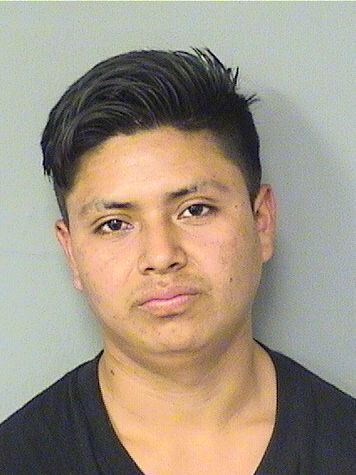  ALONZO ANDRES REYMUNDO Results from Palm Beach County Florida for  ALONZO ANDRES REYMUNDO