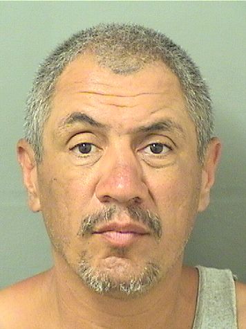 RYAN P JAZO Results from Palm Beach County Florida for RYAN P JAZO RYAN P JAZO Results from Palm Beach County Florida for RYAN P JAZO