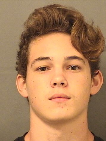  LOGAN WILLIAM CARLEY Results from Palm Beach County Florida for  LOGAN WILLIAM CARLEY