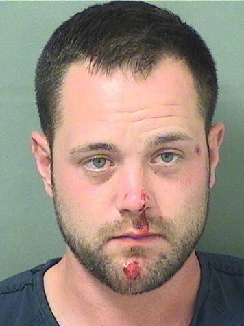  ANDREW DAVID MOYLE Results from Palm Beach County Florida for  ANDREW DAVID MOYLE
