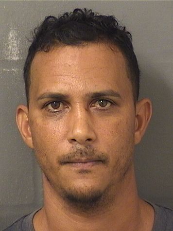  JULIO A ARROYOQUIRINDONGO Results from Palm Beach County Florida for  JULIO A ARROYOQUIRINDONGO