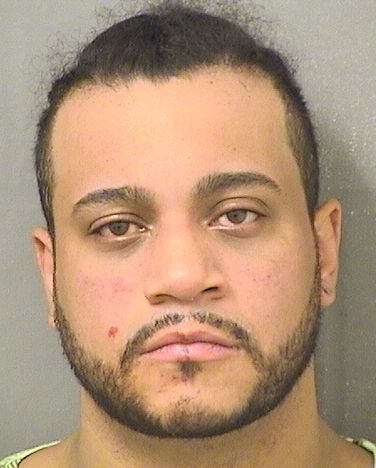  LUIS ALBERTO HERNANDEZ Results from Palm Beach County Florida for  LUIS ALBERTO HERNANDEZ