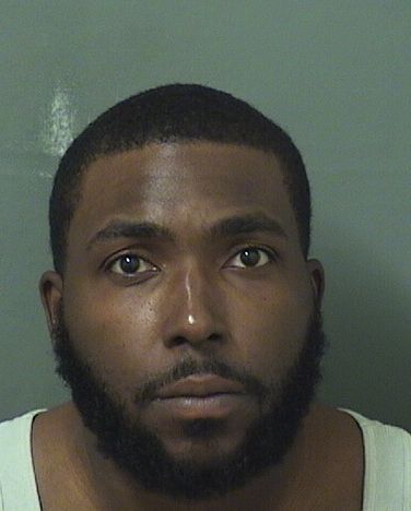  BRANDYN KAREEM MITCHELL Results from Palm Beach County Florida for  BRANDYN KAREEM MITCHELL