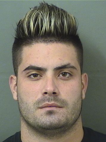  DAVID RAMIREZMIRANDA Results from Palm Beach County Florida for  DAVID RAMIREZMIRANDA