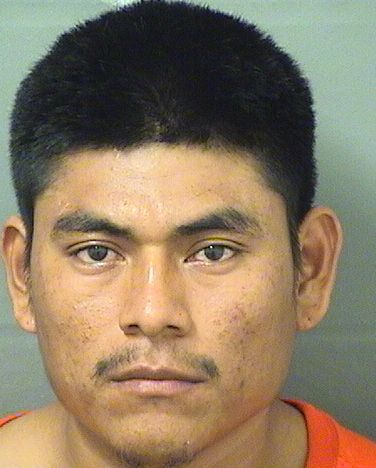  MARTIN Z PEREZ GONZALEZ Results from Palm Beach County Florida for  MARTIN Z PEREZ GONZALEZ