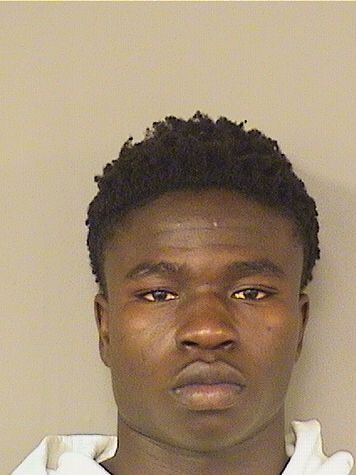 JOHNSON COLEUS Photos For  JOHNSON COLEUS  JOHNSON COLEUS Photo For  JOHNSON COLEUS