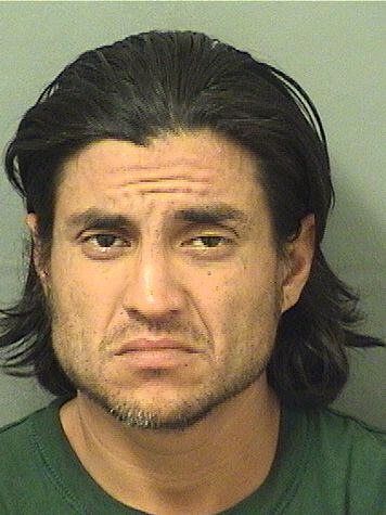  EDANVL HIPOLITO RIOS Results from Palm Beach County Florida for  EDANVL HIPOLITO RIOS