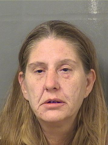  LISA CAROL CHAMBERLAIN Photo For  LISA CAROL CHAMBERLAIN