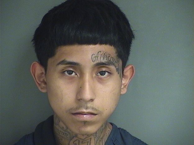  FLORIBERTO  Jr PALACIO Results from Palm Beach County Florida for  FLORIBERTO  Jr PALACIO