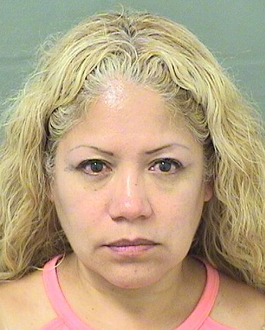  NELLY S NUNEZ Results from Palm Beach County Florida for  NELLY S NUNEZ