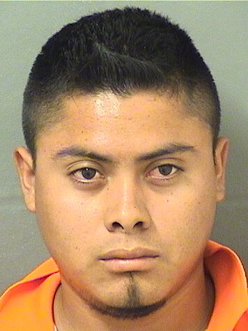 EDVIN ROLANDO PURIVAS Results from Palm Beach County Florida for EDVIN ROLANDO PURIVAS EDVIN ROLANDO PURIVAS Results from Palm Beach County Florida for EDVIN ROLANDO PURIVAS