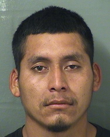  ISAIAS ORTEGAHERNANDEZ Results from Palm Beach County Florida for  ISAIAS ORTEGAHERNANDEZ
