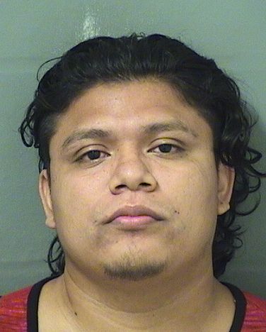 WILLIE BERDUGO Results from Palm Beach County Florida for WILLIE BERDUGO WILLIE BERDUGO Results from Palm Beach County Florida for WILLIE BERDUGO