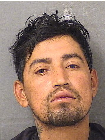  LUIS M AREDONDOMONTOYA Results from Palm Beach County Florida for  LUIS M AREDONDOMONTOYA