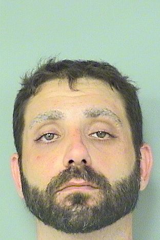  CHRISTOPHER J BALSAMO Results from Palm Beach County Florida for  CHRISTOPHER J BALSAMO