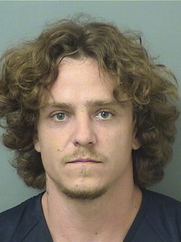  LEONARDO IDINO FERREIRA Results from Palm Beach County Florida for  LEONARDO IDINO FERREIRA