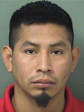  JUAN PEREZVELASQUEZ Results from Palm Beach County Florida for  JUAN PEREZVELASQUEZ