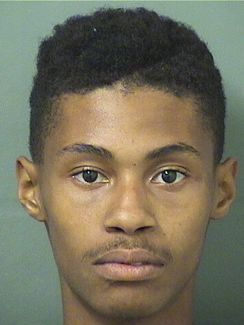  TYREE MONTE ANDREWS Results from Palm Beach County Florida for  TYREE MONTE ANDREWS