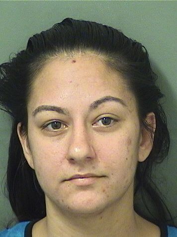  AMY DANIELLE METHNER Results from Palm Beach County Florida for  AMY DANIELLE METHNER