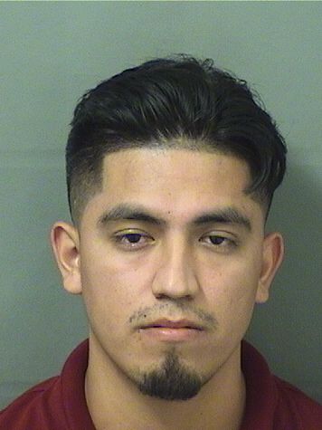  OCTAVIO ROMAN Results from Palm Beach County Florida for  OCTAVIO ROMAN