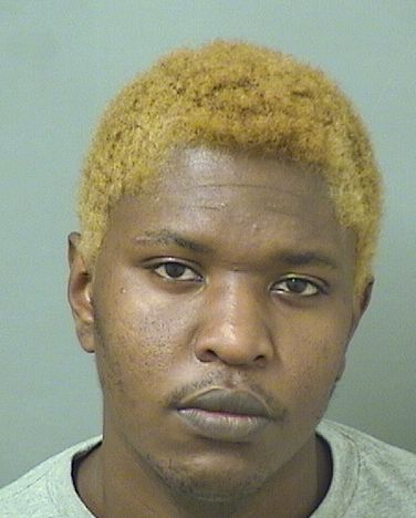  COZELLE EMILE FRANCIS Resultados de la busqueda para Palm Beach County Florida para  COZELLE EMILE FRANCIS