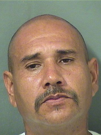  JOSE GUADALUPE GONZALEZ Results from Palm Beach County Florida for  JOSE GUADALUPE GONZALEZ