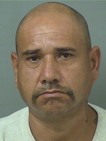  JOSE GUADALUPE GONZALEZ Results from Palm Beach County Florida for  JOSE GUADALUPE GONZALEZ