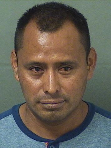  LEONARDO SILVESTRE MONTEJO Results from Palm Beach County Florida for  LEONARDO SILVESTRE MONTEJO