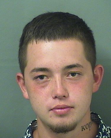 MICHAEL DEVIIN RUDNICK Results from Palm Beach County Florida for MICHAEL DEVIIN RUDNICK MICHAEL DEVIIN RUDNICK Results from Palm Beach County Florida for MICHAEL DEVIIN RUDNICK
