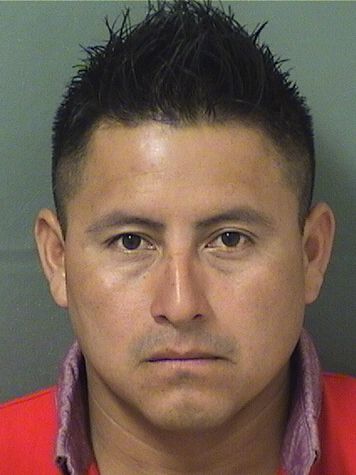  MARVIN EDGARDO GARCIA Results from Palm Beach County Florida for  MARVIN EDGARDO GARCIA