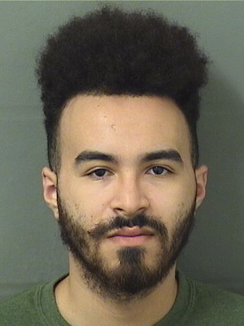  CHRISTIAN SAMUEL AVILES Results from Palm Beach County Florida for  CHRISTIAN SAMUEL AVILES