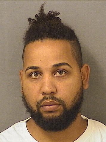  NELSON JOAQUINMOREL Results from Palm Beach County Florida for  NELSON JOAQUINMOREL