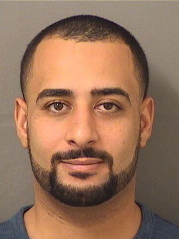  ALI AMEER Results from Palm Beach County Florida for  ALI AMEER