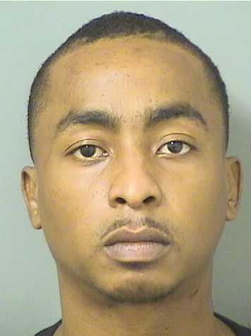  IMMANUEL DIOGENEEITENNE MICHEL Results from Palm Beach County Florida for  IMMANUEL DIOGENEEITENNE MICHEL