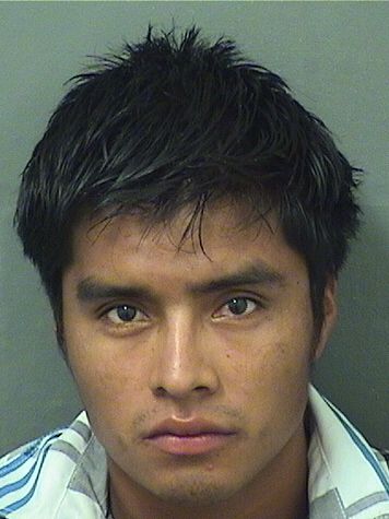  FELIX CLEOFAS VASQUEZ Resultados de la busqueda para Palm Beach County Florida para  FELIX CLEOFAS VASQUEZ