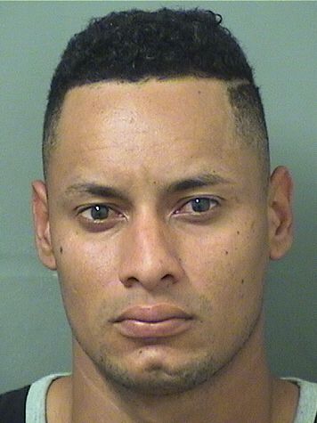  LUIS ODULIO CARDONA Results from Palm Beach County Florida for  LUIS ODULIO CARDONA