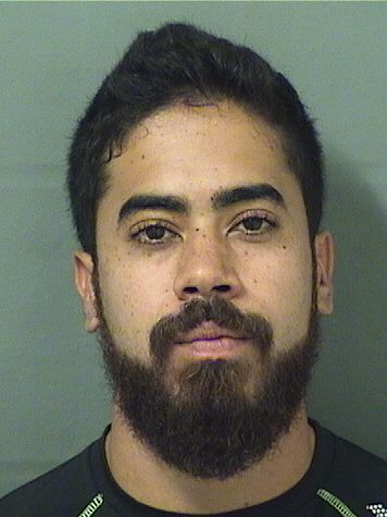  GABRIEL SILVIAFERREIRA Results from Palm Beach County Florida for  GABRIEL SILVIAFERREIRA