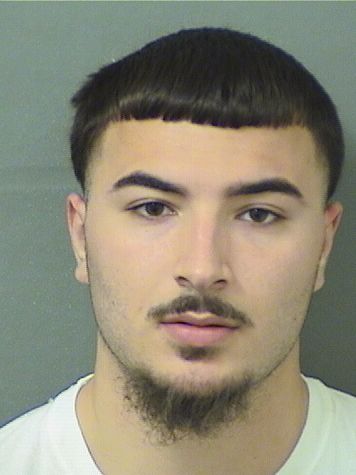  CHRISTIAN J IPPOLITO Results from Palm Beach County Florida for  CHRISTIAN J IPPOLITO