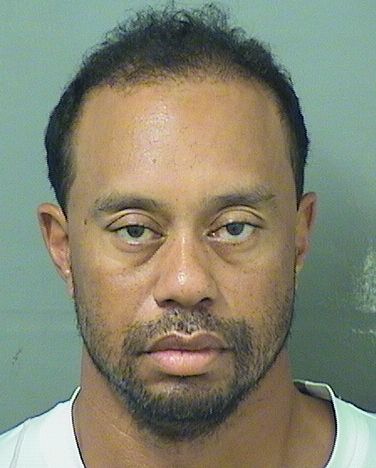  ELDRICK TIGER WOODS Results from Palm Beach County Florida for  ELDRICK TIGER WOODS