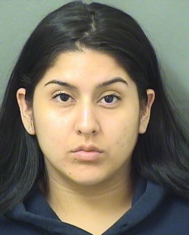  SOPHIA CANTERAMCCLUNG Results from Palm Beach County Florida for  SOPHIA CANTERAMCCLUNG