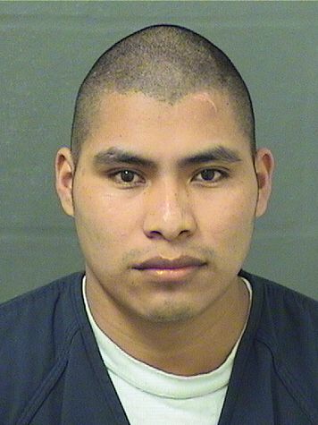  JOSE ARMANDO ORDONEZMALDONADO Results from Palm Beach County Florida for  JOSE ARMANDO ORDONEZMALDONADO