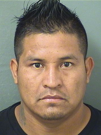  HUBER MARTIN MENDEZPABLO Results from Palm Beach County Florida for  HUBER MARTIN MENDEZPABLO