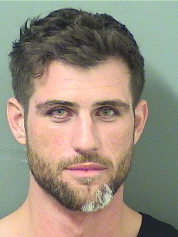  LOUIS AARON SANET Results from Palm Beach County Florida for  LOUIS AARON SANET