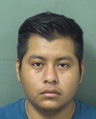  ANGEL NICANOR PEREZDELEON Results from Palm Beach County Florida for  ANGEL NICANOR PEREZDELEON