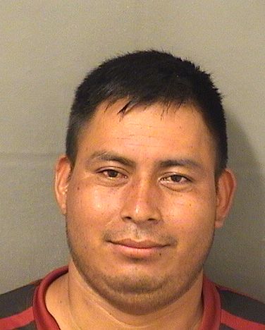 SAMUEL DOMINGOMALDONADO Photos For  SAMUEL DOMINGOMALDONADO  SAMUEL DOMINGOMALDONADO Photo For  SAMUEL DOMINGOMALDONADO