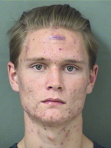  FINLEY STEPHEN GREENE Results from Palm Beach County Florida for  FINLEY STEPHEN GREENE