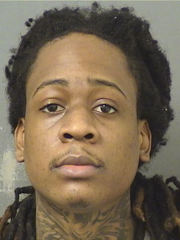  EROLD J BELONY Results from Palm Beach County Florida for  EROLD J BELONY