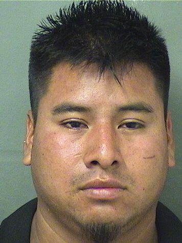  ANDRES P SANTIAGO Results from Palm Beach County Florida for  ANDRES P SANTIAGO