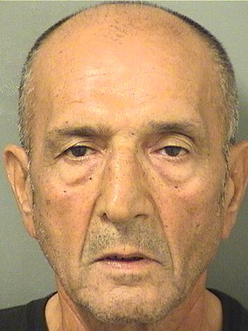  NASSER BAZL Results from Palm Beach County Florida for  NASSER BAZL